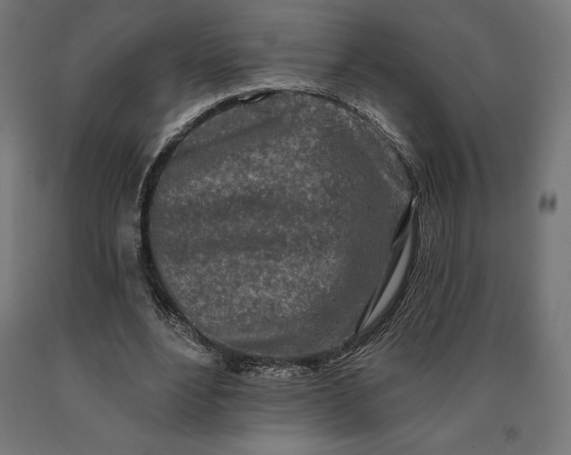 X0000090610488200707311225