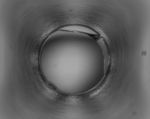 X0000090610489200707311225