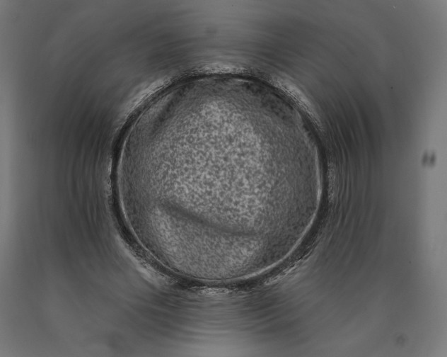 X0000090610490200707311225