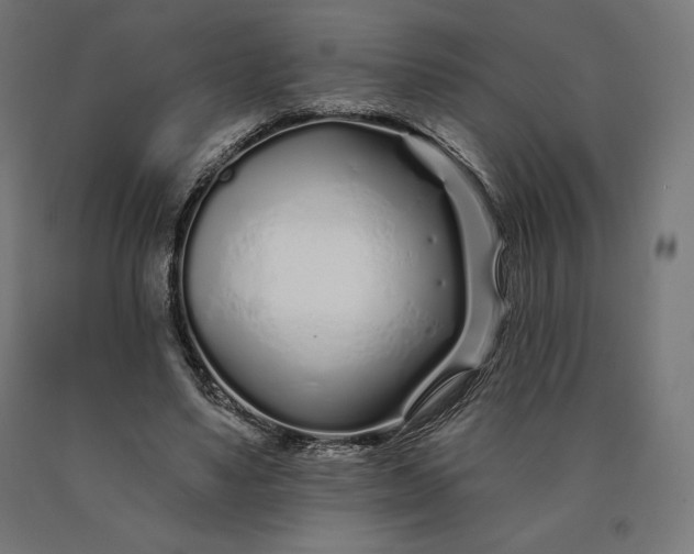 X0000090610491200707311225