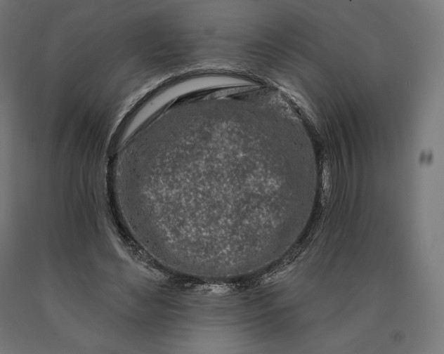 X0000090610492200707311225