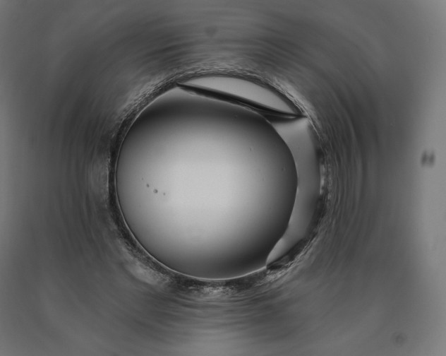 X0000090610493200707311225