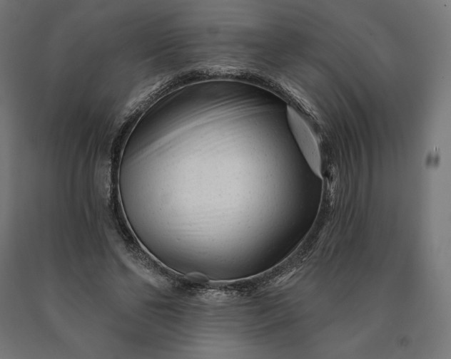 X0000090610494200707311225