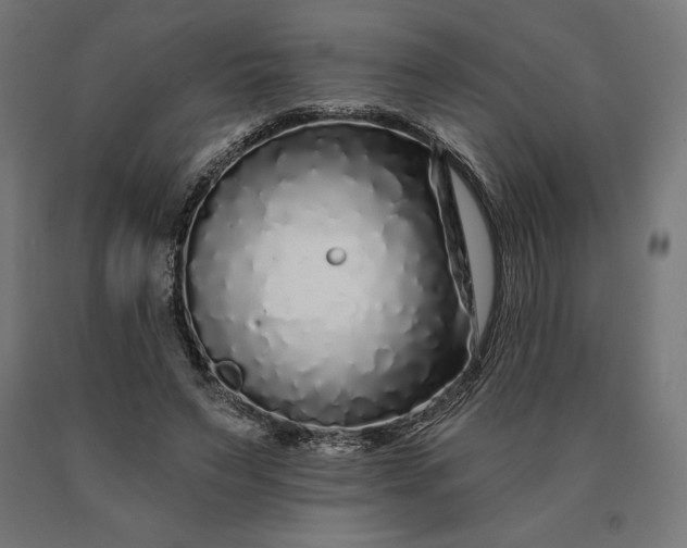 X0000090610495200707311225