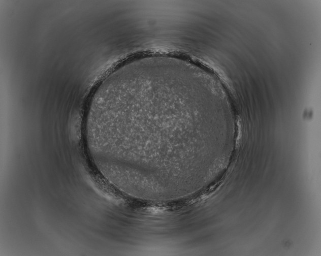 X0000090610496200707311225