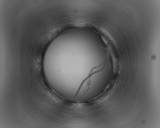 X0000090610497200707311225