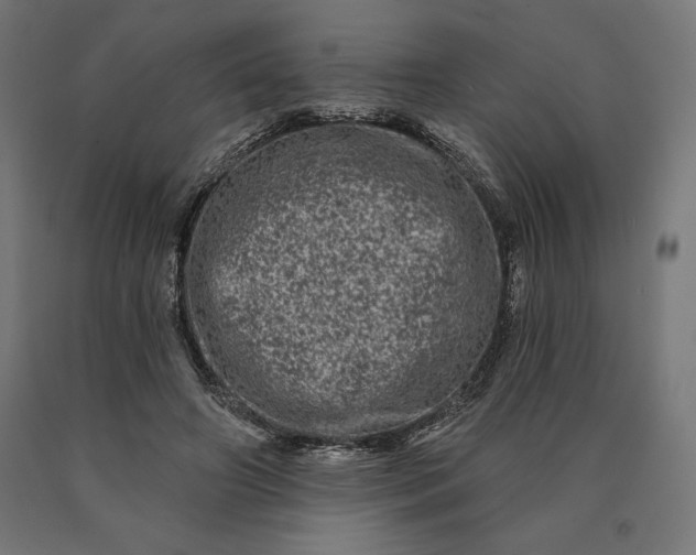 X0000090610498200707311225