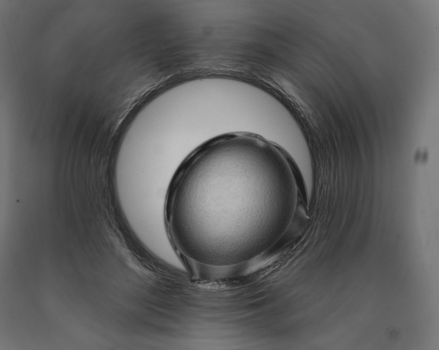 X0000090610500200707311225