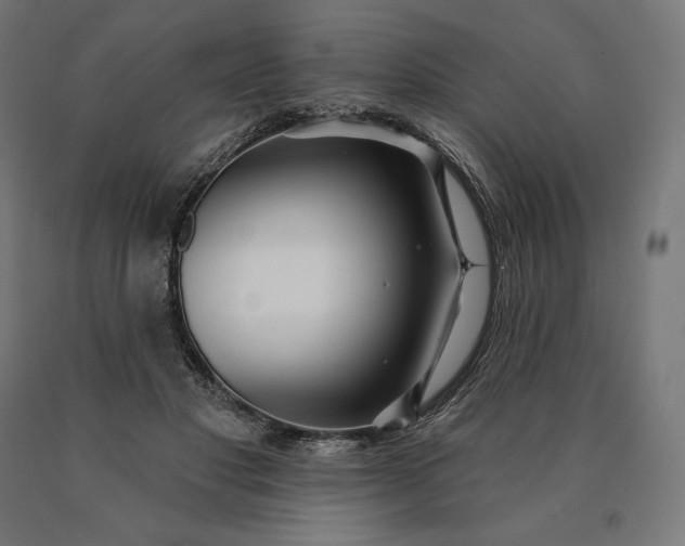 X0000090610501200707311225