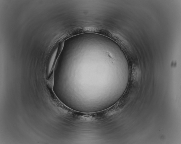 X0000090610502200707311225