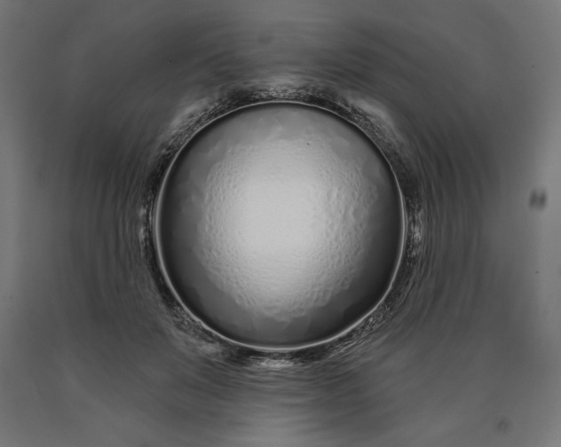 X0000090610503200707311225