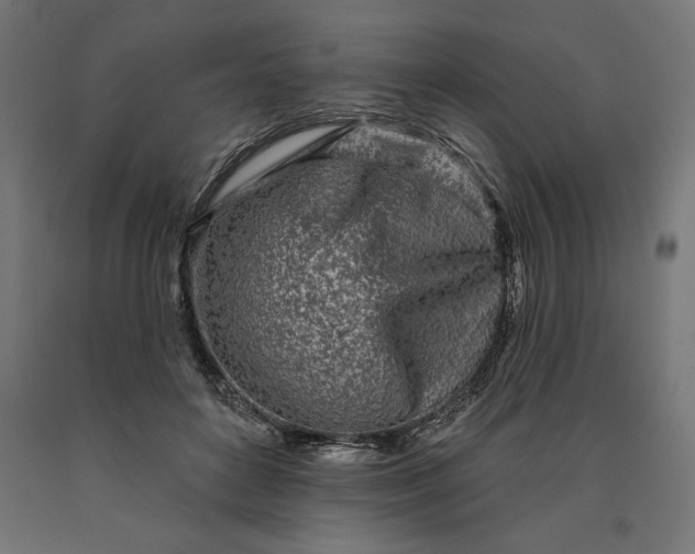 X0000090610504200707311225