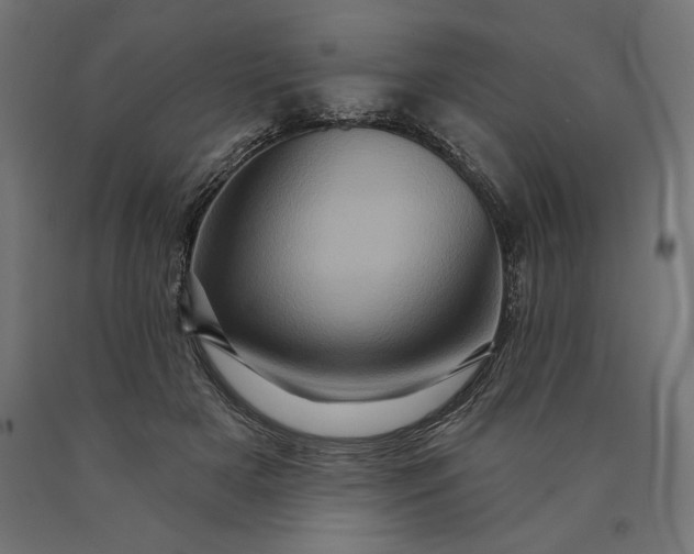 X0000090610505200707311225