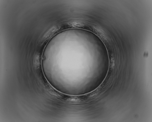 X0000090610506200707311225