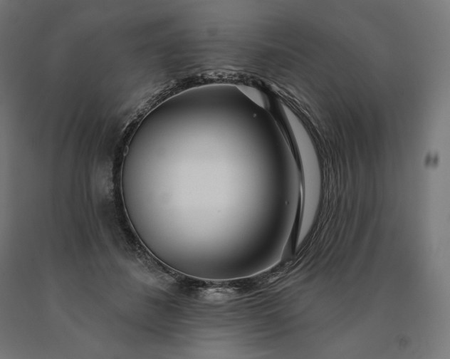 X0000090610508200707311225