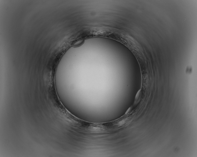 X0000090610510200707311225