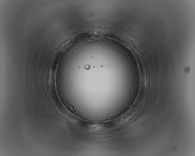 X0000090610511200707311225