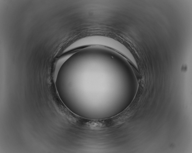 X0000090610512200707311225