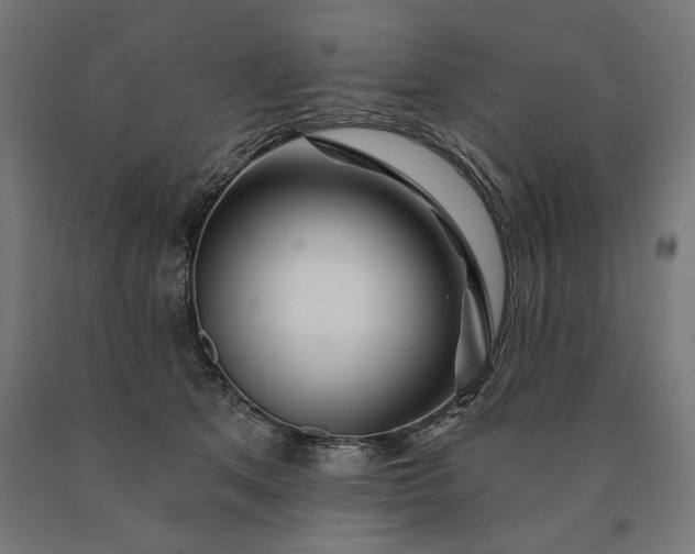 X0000090610513200707311225