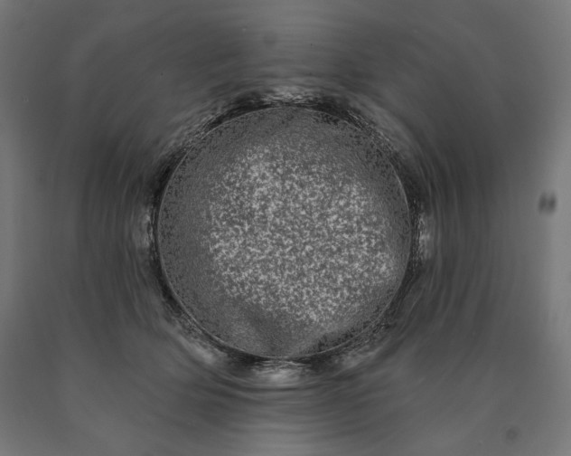 X0000090610514200707311225