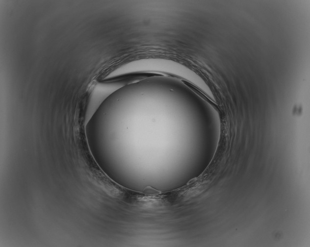 X0000090610516200707311225