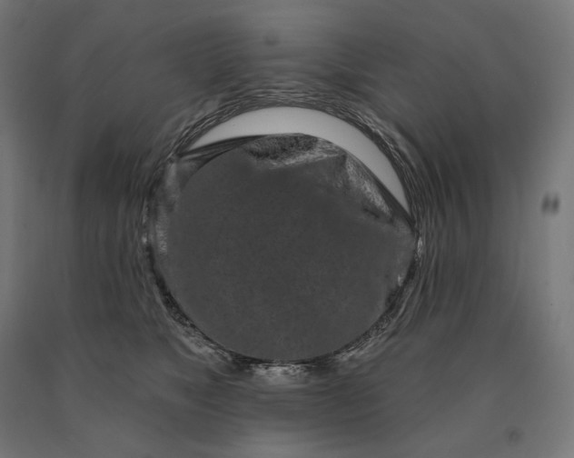 X0000090610517200707311225