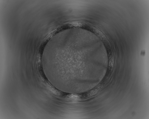 X0000090610518200707311225