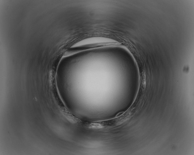 X0000090610519200707311225