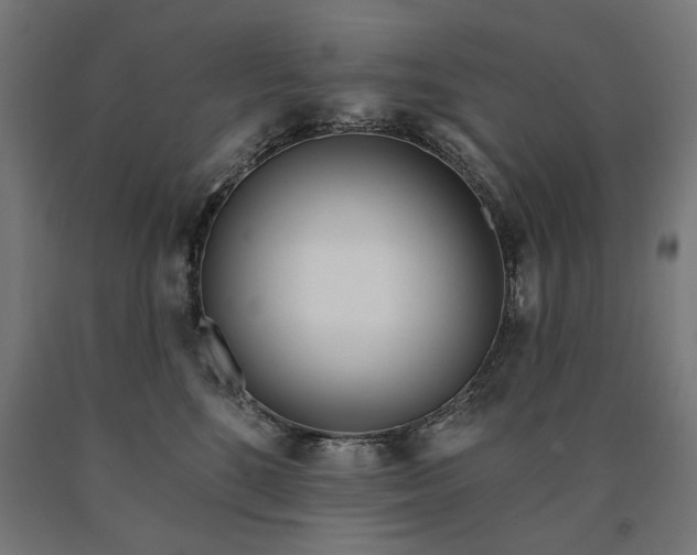 X0000090610520200707311225