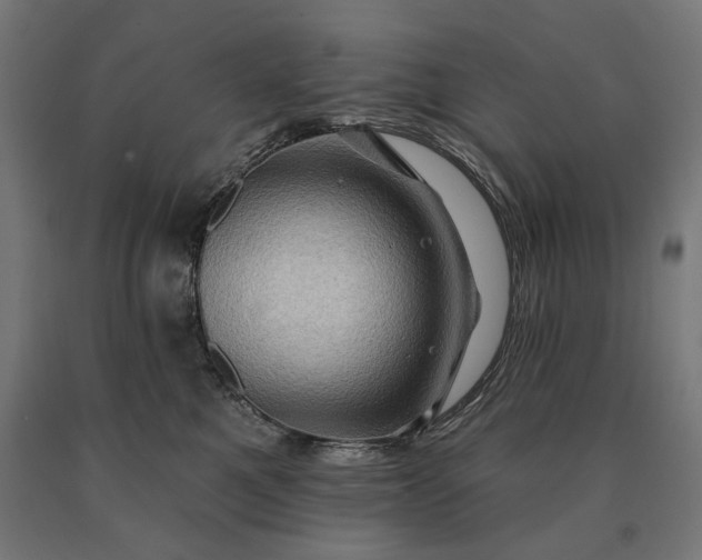 X0000090610521200707311225