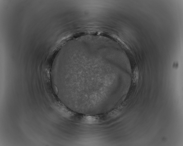 X0000090610522200707311225