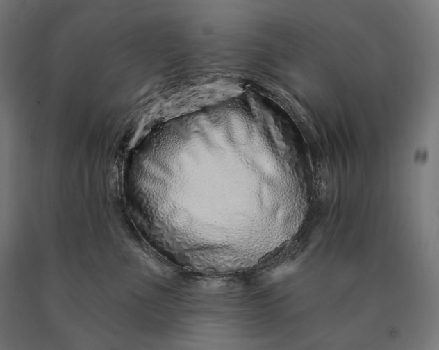 X0000090610523200707311225