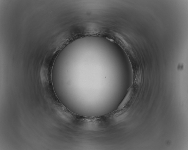 X0000090610524200707311225