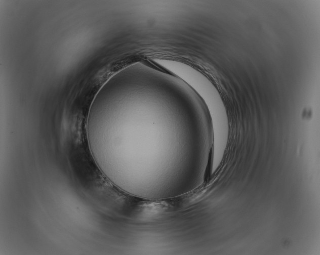 X0000090610525200707311225