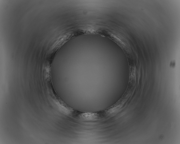 X0000090610526200707311225