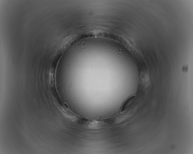 X0000090610527200707311225