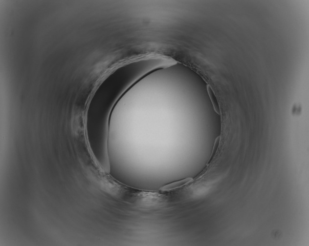 X0000090610528200707311225