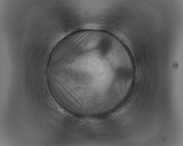 X0000090610529200707311224