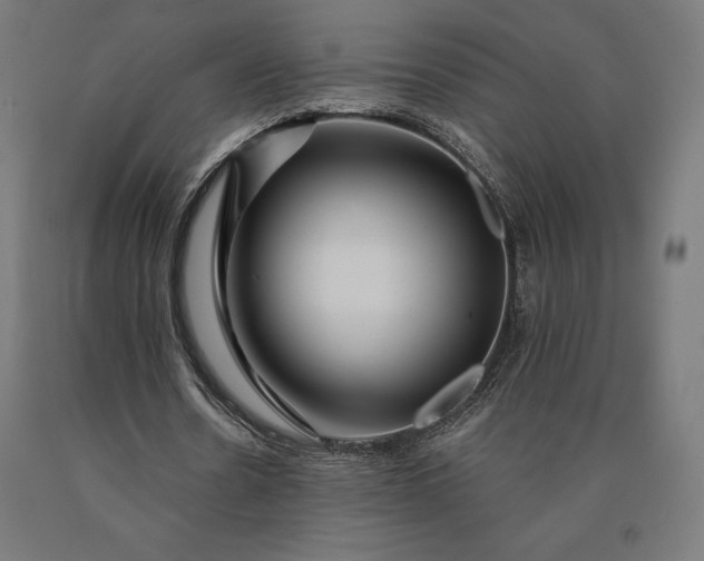 X0000090610530200707311224