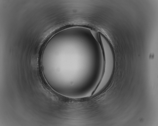 X0000090610531200707311224