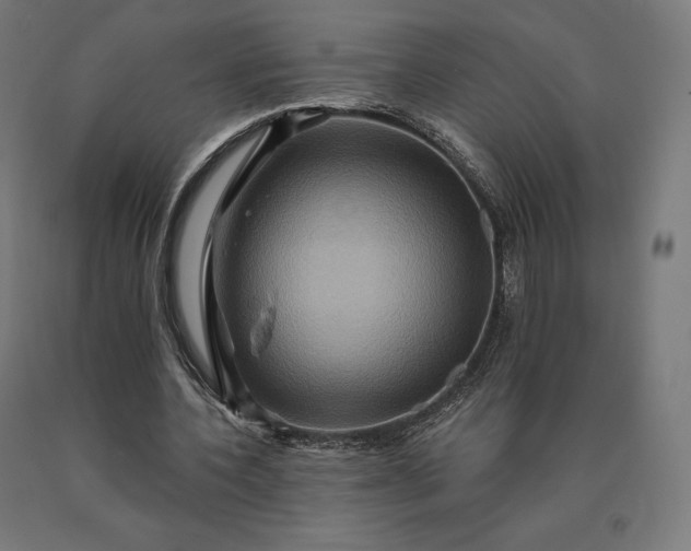 X0000090610532200707311224