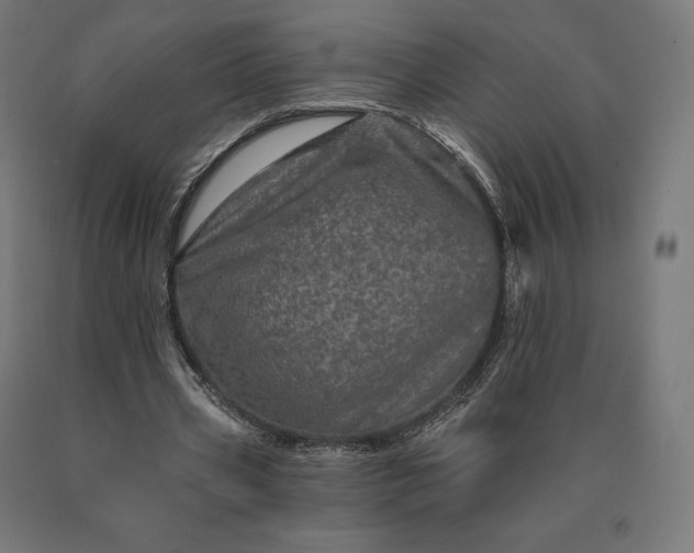 X0000090610533200707311224