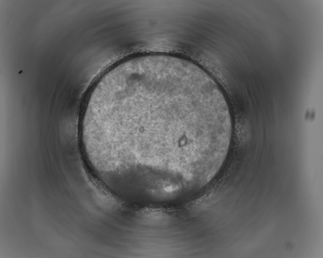 X0000090610534200707311224