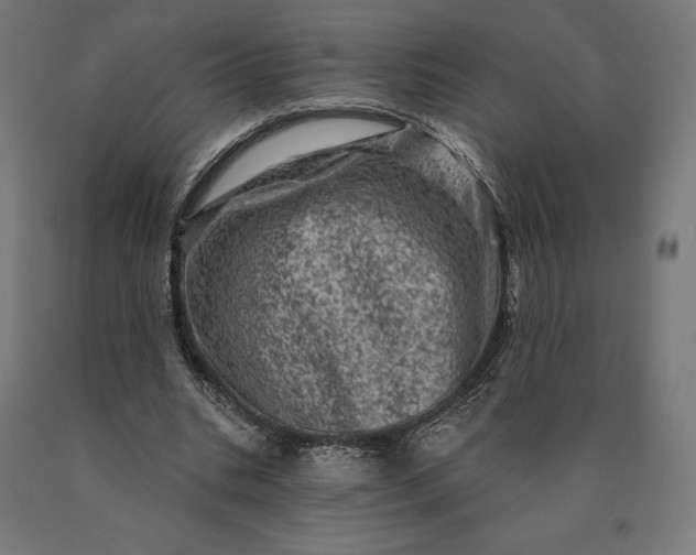 X0000090610535200707311224