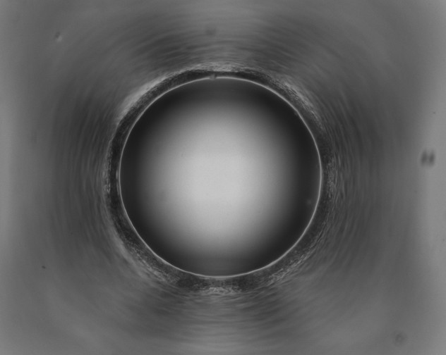 X0000090610536200707311224