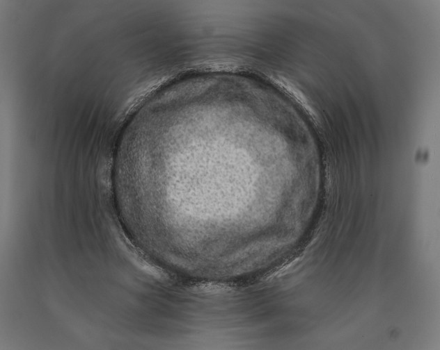 X0000090610537200707311224