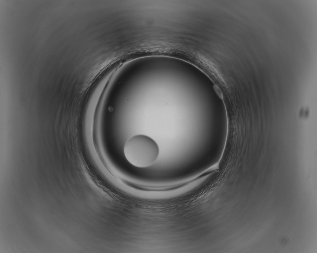 X0000090610538200707311224