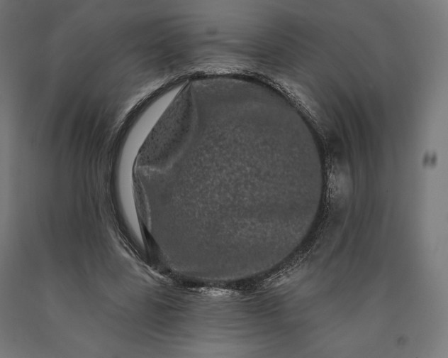 X0000090610539200707311224