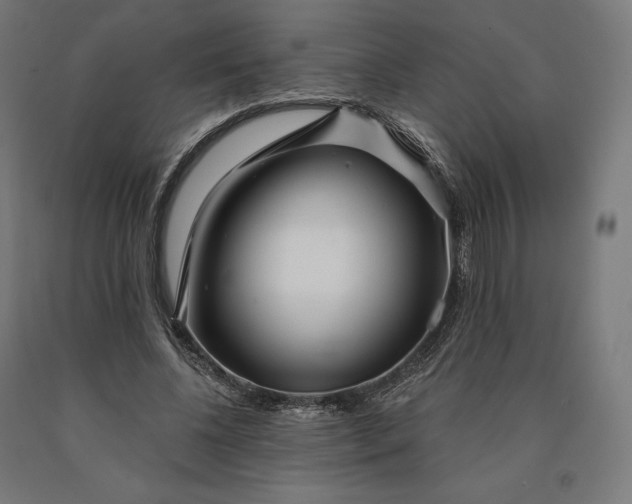 X0000090610540200707311224