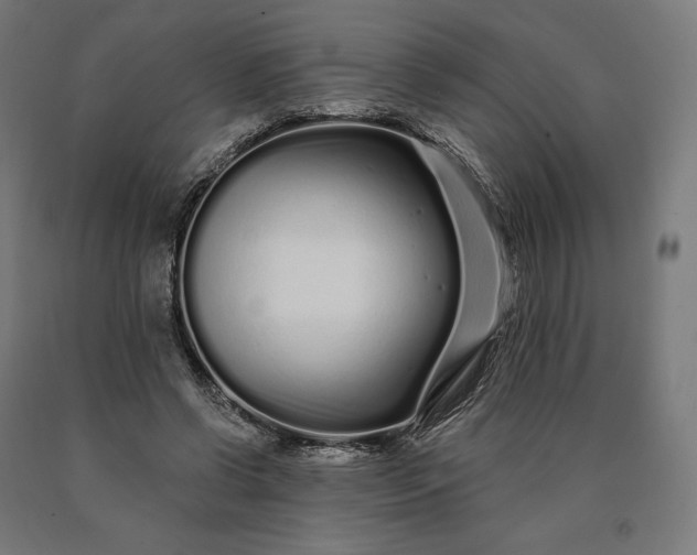 X0000090610542200707311224